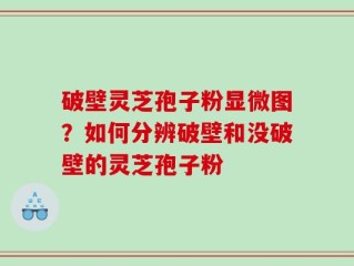 破壁灵芝孢子粉显微图？如何分辨破壁和没破壁的灵芝孢子粉