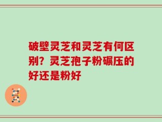 破壁灵芝和灵芝有何区别？灵芝孢子粉碾压的好还是粉好