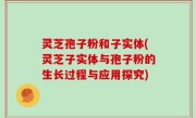 灵芝孢子粉和子实体(灵芝子实体与孢子粉的生长过程与应用探究)
