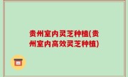 贵州室内灵芝种植(贵州室内高效灵芝种植)