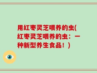 用红枣灵芝喂养的虫(红枣灵芝喂养的虫：一种新型养生食品！)