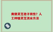 粪便灵芝孢子阴性？人工种植灵芝浇水方法