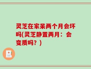 灵芝在家呆两个月会坏吗(灵芝静置两月：会变质吗？)