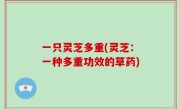 一只灵芝多重(灵芝：一种多重功效的草药)