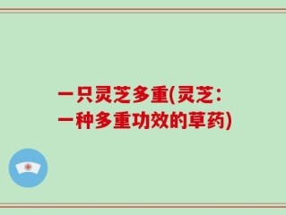 一只灵芝多重(灵芝：一种多重功效的草药)