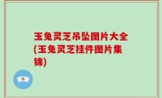 玉兔灵芝吊坠图片大全(玉兔灵芝挂件图片集锦)