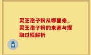 灵芝孢子粉从哪里来_灵芝孢子粉的来源与提取过程解析