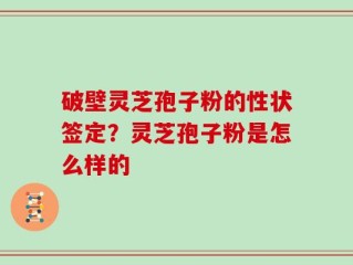 破壁灵芝孢子粉的性状签定？灵芝孢子粉是怎么样的