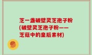 芝一盏破壁灵芝孢子粉(破壁灵芝孢子粉——芝菇中的皇后素材)