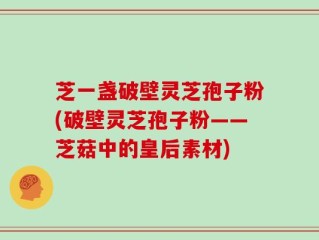 芝一盏破壁灵芝孢子粉(破壁灵芝孢子粉——芝菇中的皇后素材)