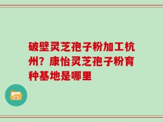 破壁灵芝孢子粉加工杭州？康怡灵芝孢子粉育种基地是哪里