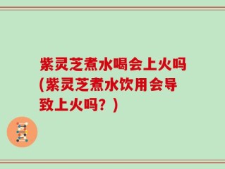 紫灵芝煮水喝会上火吗(紫灵芝煮水饮用会导致上火吗？)