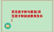灵芝孢子粉与黑发(灵芝孢子粉促进黑发生长)
