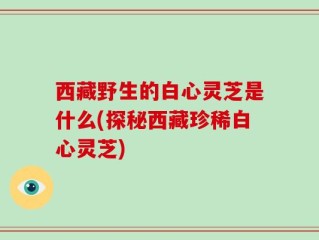 西藏野生的白心灵芝是什么(探秘西藏珍稀白心灵芝)