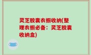 灵芝胶囊衣橱收纳(整理衣橱必备：灵芝胶囊收纳盒)