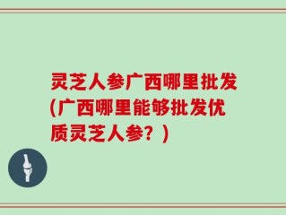 灵芝人参广西哪里批发(广西哪里能够批发优质灵芝人参？)