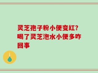 灵芝孢子粉小便变红？喝了灵芝泡水小便多咋回事