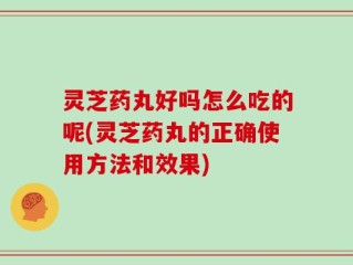 灵芝药丸好吗怎么吃的呢(灵芝药丸的正确使用方法和效果)