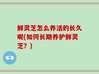 鲜灵芝怎么养活的长久呢(如何长期养护鲜灵芝？)