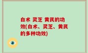 白术 灵芝 黄芪的功效(白术、灵芝、黄芪的多种功效)