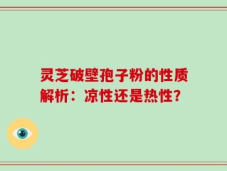 灵芝破壁孢子粉的性质解析：凉性还是热性？