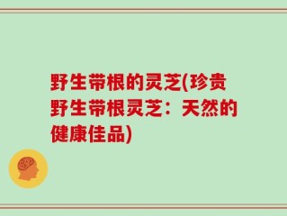 野生带根的灵芝(珍贵野生带根灵芝：天然的健康佳品)