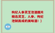 枸杞人参灵芝泡酒图片精选灵芝、人参、枸杞泡制而成的美味酒！)