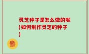 灵芝种子是怎么做的呢(如何制作灵芝的种子)