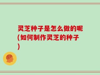 灵芝种子是怎么做的呢(如何制作灵芝的种子)