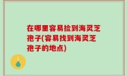 在哪里容易捡到海灵芝孢子(容易找到海灵芝孢子的地点)