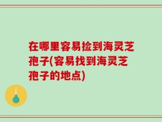 在哪里容易捡到海灵芝孢子(容易找到海灵芝孢子的地点)