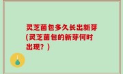 灵芝菌包多久长出新芽(灵芝菌包的新芽何时出现？)