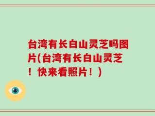 台湾有长白山灵芝吗图片(台湾有长白山灵芝！快来看照片！)