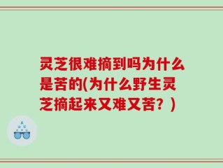 灵芝很难摘到吗为什么是苦的(为什么野生灵芝摘起来又难又苦？)