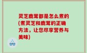 灵芝鹿茸都是怎么煮的(煮灵芝和鹿茸的正确方法，让您尽享营养与美味)