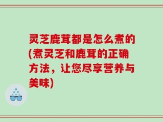 灵芝鹿茸都是怎么煮的(煮灵芝和鹿茸的正确方法，让您尽享营养与美味)
