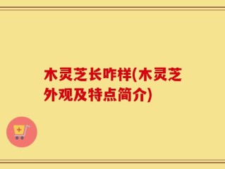 木灵芝长咋样(木灵芝外观及特点简介)