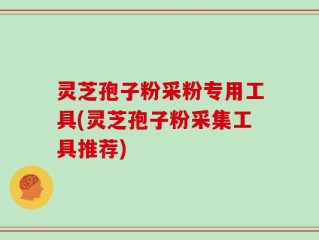 灵芝孢子粉采粉专用工具(灵芝孢子粉采集工具推荐)