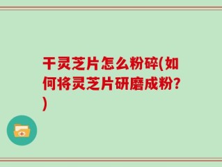 干灵芝片怎么粉碎(如何将灵芝片研磨成粉？)