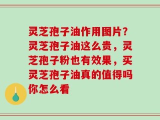 灵芝孢子油作用图片？灵芝孢子油这么贵，灵芝孢子粉也有效果，买灵芝孢子油真的值得吗你怎么看
