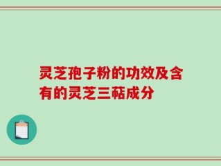 灵芝孢子粉的功效及含有的灵芝三萜成分