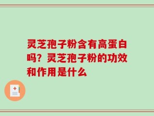 灵芝孢子粉含有高蛋白吗？灵芝孢子粉的功效和作用是什么