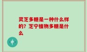 灵芝多糖是一种什么样的？芝宁植物多糖是什么