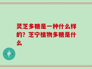 灵芝多糖是一种什么样的？芝宁植物多糖是什么