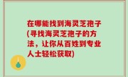在哪能找到海灵芝孢子(寻找海灵芝孢子的方法，让你从百姓到专业人士轻松获取)