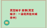 灵芝妹子 故事(灵芝妹子：一朵花开在大城市中)