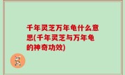 千年灵芝万年龟什么意思(千年灵芝与万年龟的神奇功效)