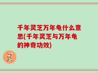 千年灵芝万年龟什么意思(千年灵芝与万年龟的神奇功效)