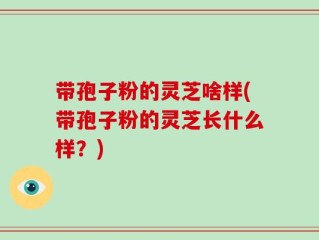 带孢子粉的灵芝啥样(带孢子粉的灵芝长什么样？)
