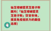 仙芝楼破壁灵芝孢子粉图片(「仙芝楼破壁灵芝孢子粉」饮誉市场，提高免疫抵抗力的最佳选择)